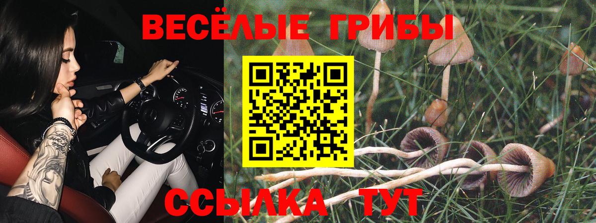 APVP Грязи