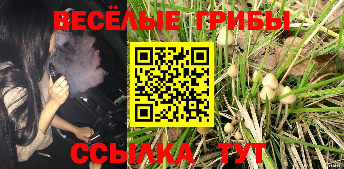 Псилоцибиновые грибы мицелий  Вход с VPN  Грязи 