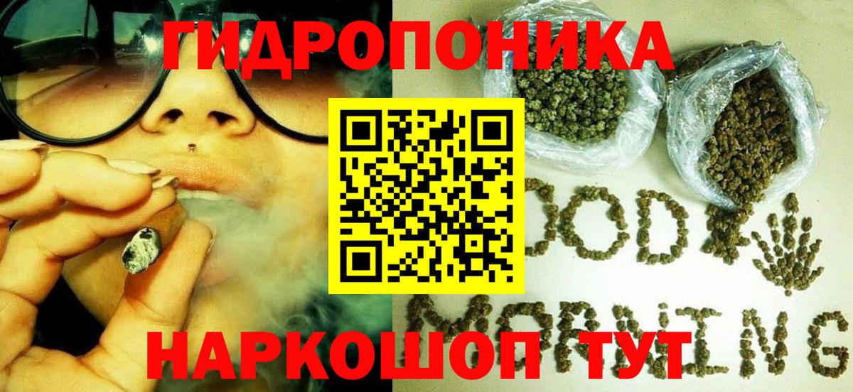 Канабис OG Kush  Вход с VPN  Конопля тримм  Грязи  Бошки Шишки тримм  МАРИХУАНА OG Kush 